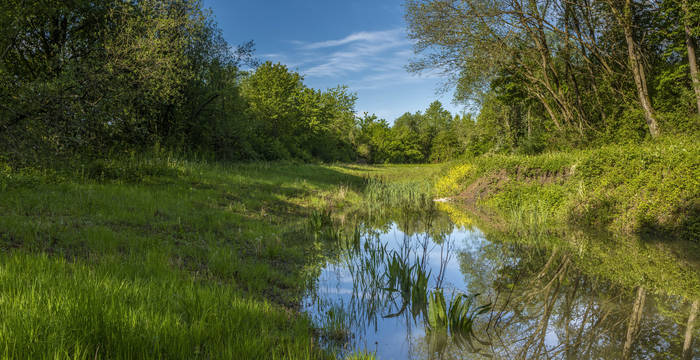 Wannengraben bei Selzach