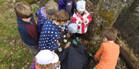 Käferpirsch mit Kindern