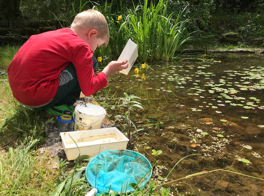 Kind beobachtet Teich