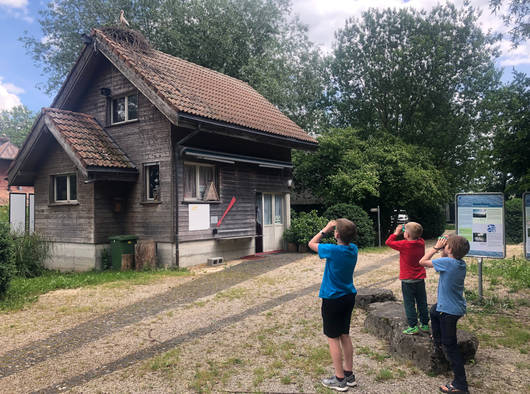 Kinder beobachen Storch