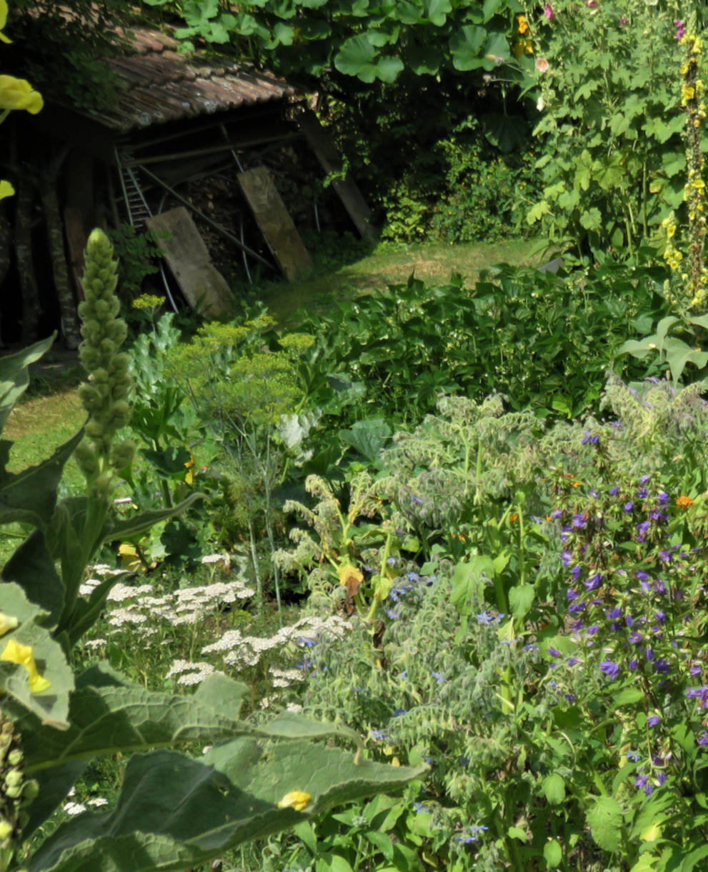 Naturgarten