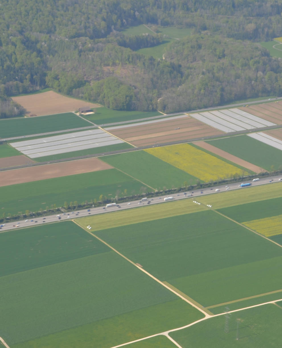 Autobahn A1 zwischen Oensingen und Oberbuchsiten