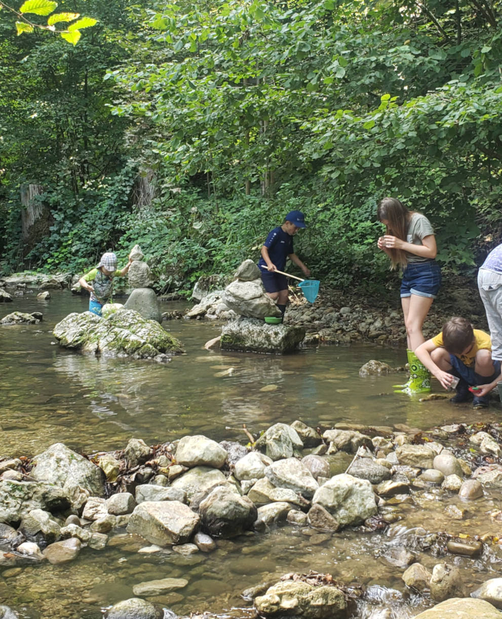 Auf den Spuren des Bachflohkrebses